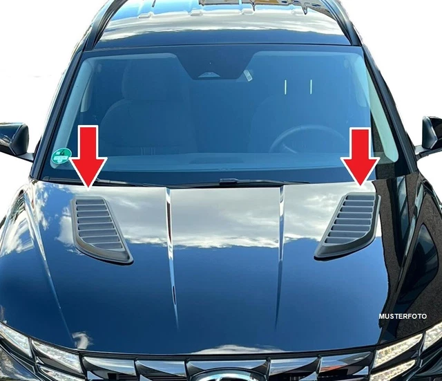 Écope De Capot (prise D'air) Pour Dacia Duster 2010-2023 - Noir - Neuf, Référence PDA004