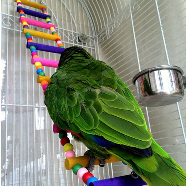 View of 80CM LARGE PARROT Pet Bird Toys Swing Wooden Climbing Ladder Budgie ...