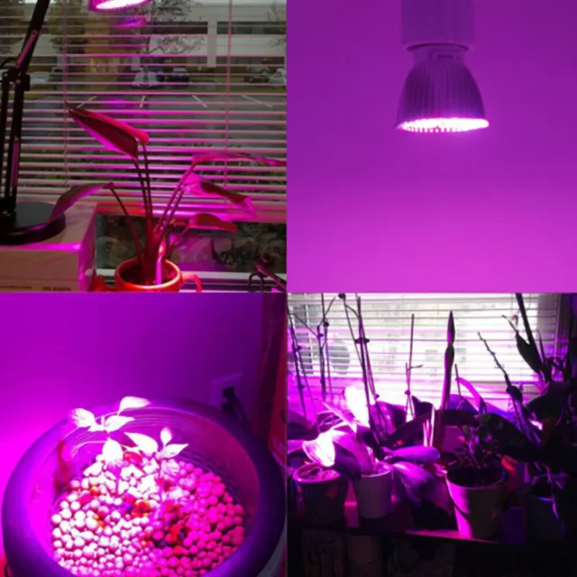 E27 18/30/50/80W Led Grow Light Full Spectrum Lamp Bulb Hydroponics Bloom Plant 2