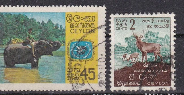 Ceylon,Tierlot