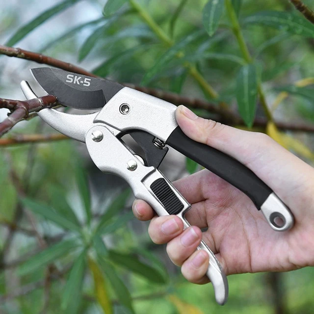 de jardin Outil de greffage de jardin Cisailles d'élagage Pruneur greffage 3
