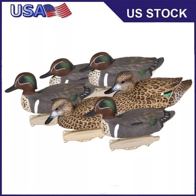 10.5'' 6 Pack Outdoor Hunting Front Green Winged Teal Decoys Waterfowl Floater