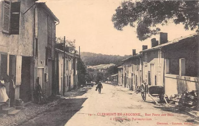 CPA 55 CLERMONT EN ARGONNE RUE PORTE DES BOIS A L'HORIZON LE PREVENTORIUM (clich