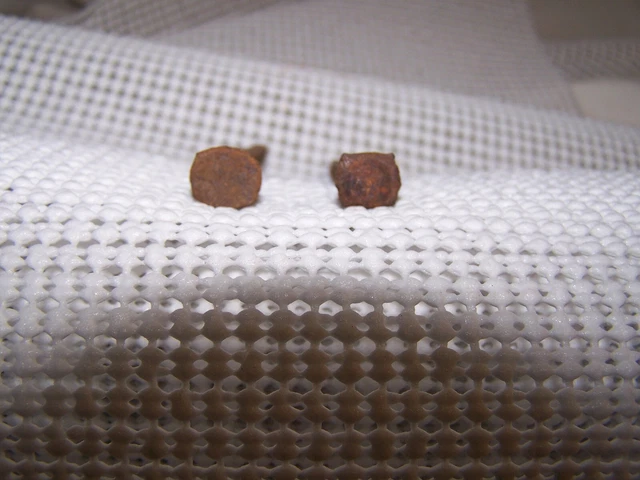 Mid through late 1800's, 4" nails from Fort Dodge Iowa. 3