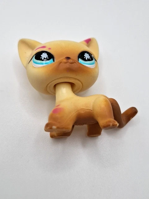 LPS #816 LITTLEST PETSHOP AUTHENTIC CHAT EUROPEEN lot 3