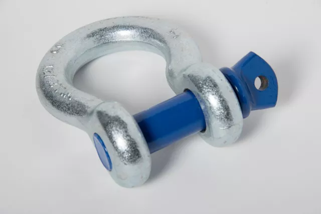 1" Bow Shackle D Ring w Blue Screw Pin Clevis Rigging Lift Towing 8.5Ton 18500lb