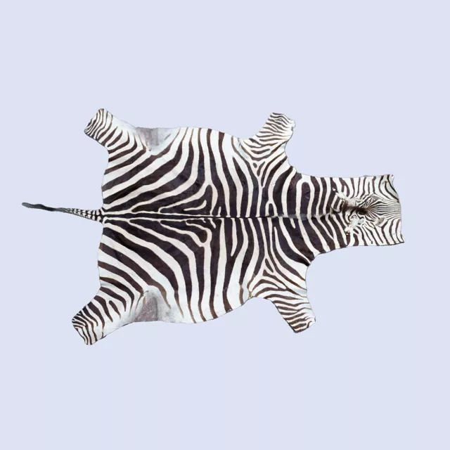 Tappeto In Pelle Di Zebra