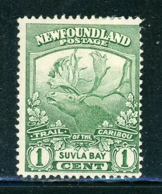NEWFOUNDLAND 115 SG130 MH 1919 1c grn Trail of the Caribou Suvla Bay CV$3