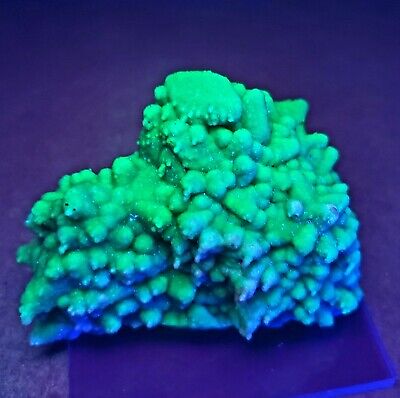 ***WOW-Fluorescent Green Quartz Epimorph After Calcite crystals, mine Mexico***