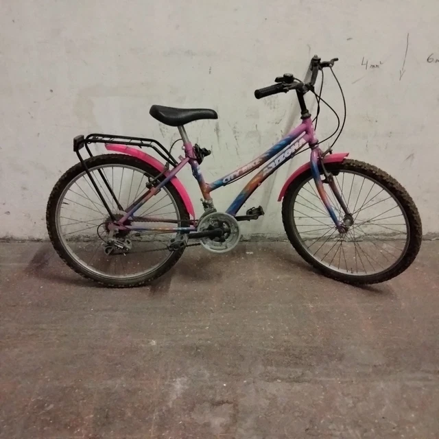 Bicicletta Per Bambina Camilla Rosa Con Cestino - Misura 20" Per Piccole Cicliste