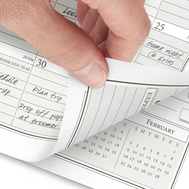 ATAGLANCE 2025 DAILY Monthly Planner One Page Per Day Refill Loose
