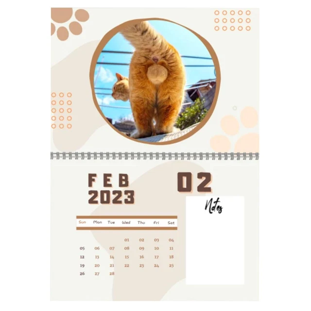 Funny Cats Calendar-Cat Buttholes Calendar 2023:Funny Cat Balls Calendar Present