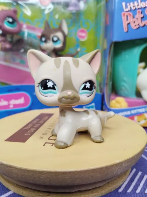 Littlest Petshop Lps Chat Européen Cat Kitty Shorthair 468