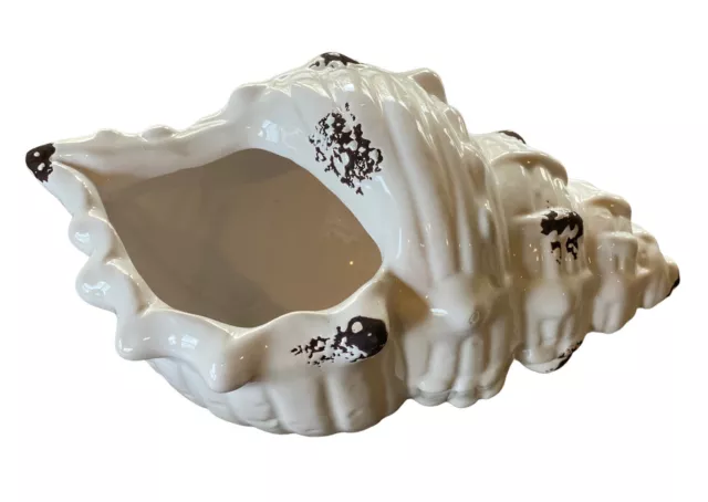 Ceramic Conch Seashell Home Decor Sea Shell Planter Ocean Beach White w/Brown