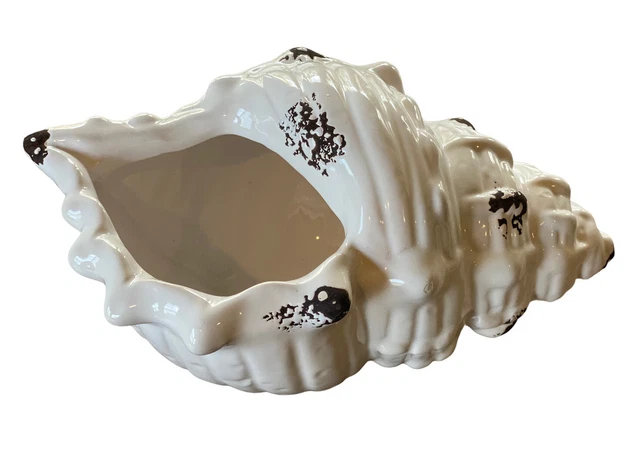 Ceramic Conch Seashell Home Decor Sea Shell Planter Ocean Beach White w/Brown