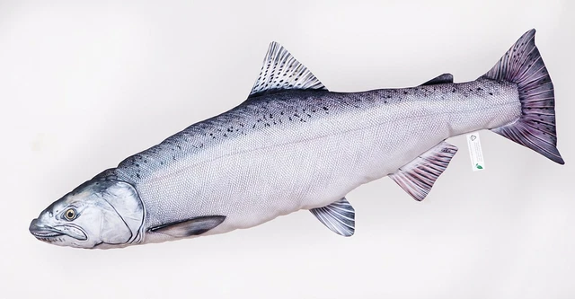 Coussin Carpe Amour Blanc GABY | Humour de Pêcheur
