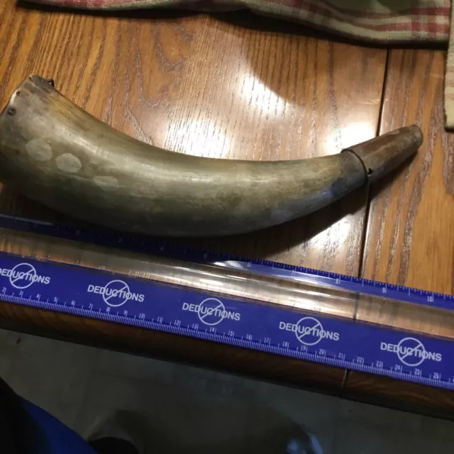 18th Century Rev War Super Color Powder Horn Rifleman Item  9 Inches