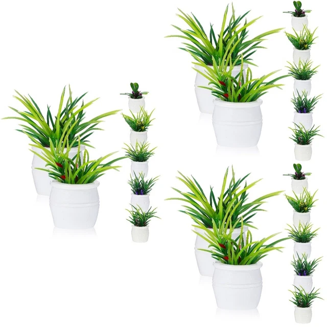 21 ud. Juego de plantas casa de muñecas en macetas realista juego de plantas en miniatura