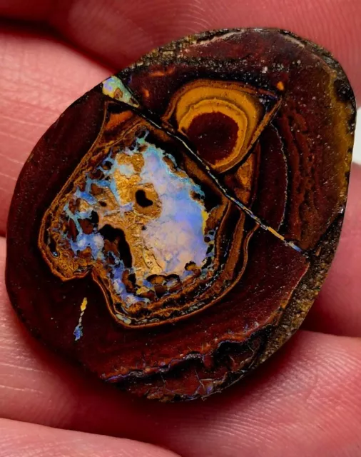 Yowah Nuss Boulder Opal 57 ct. Blaues Auge