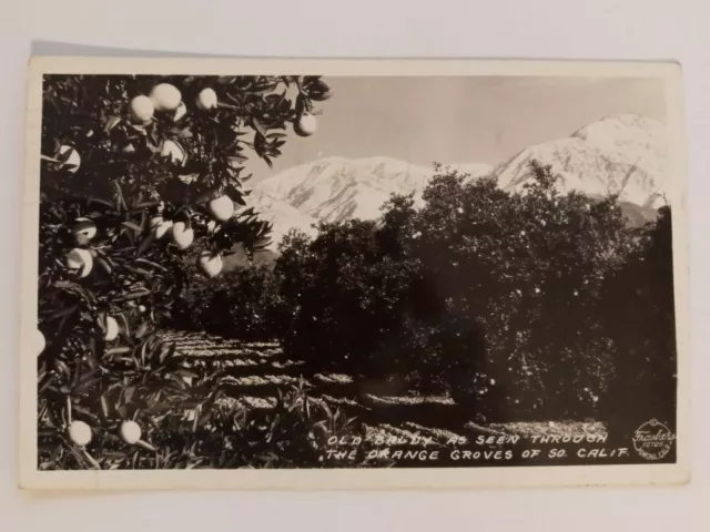 Old Baldy Through Orange Groves California Vintage Postcard 1948 Ca