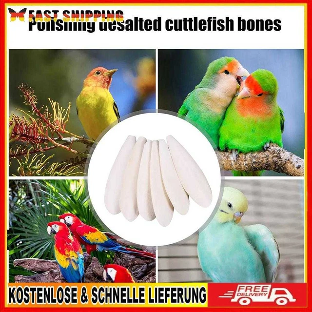 XMYNB Vögel lieben Schuttlebone für Nymphensittiche, Sittiche, Wellensittiche, F