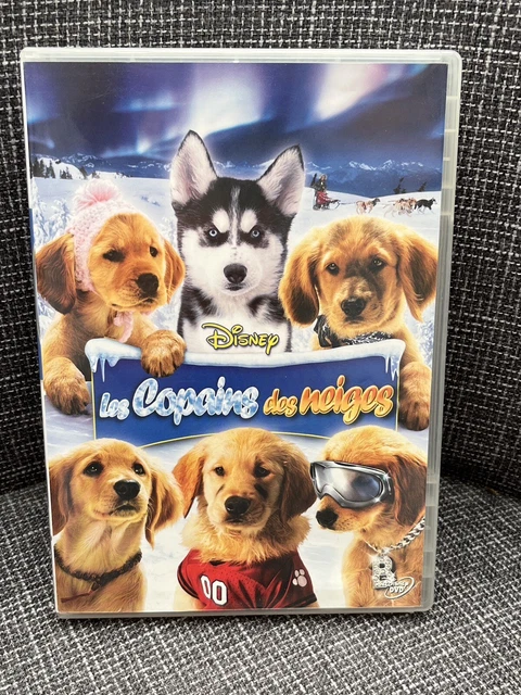 LES COPAINS DES Neiges Dvd Walt Disney EUR 3,30 PicClick FR