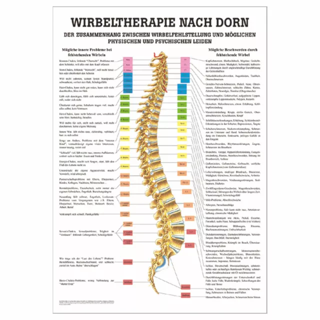 Wirbeltherapie nach Dorn Poster Anatomie 70x50 cm medizinische Lehrmittel