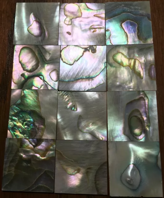 28.5 grams (12pcs) Abalone Fretboard Inlay NOS Gibson Kalamazoo Factory Lot-6