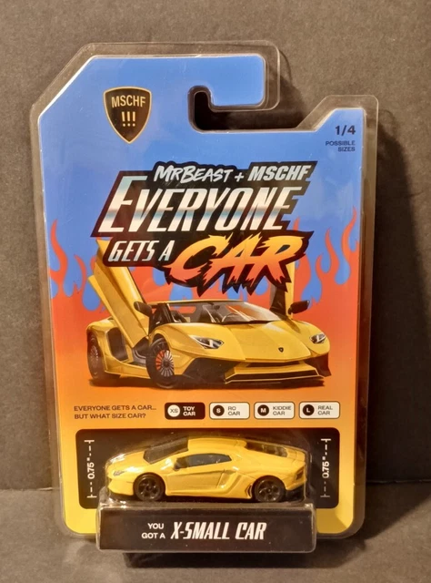 NEW EVERYONE GETS a Car MSCHF Mr. Beast X-Small Toy Car Lamborghini