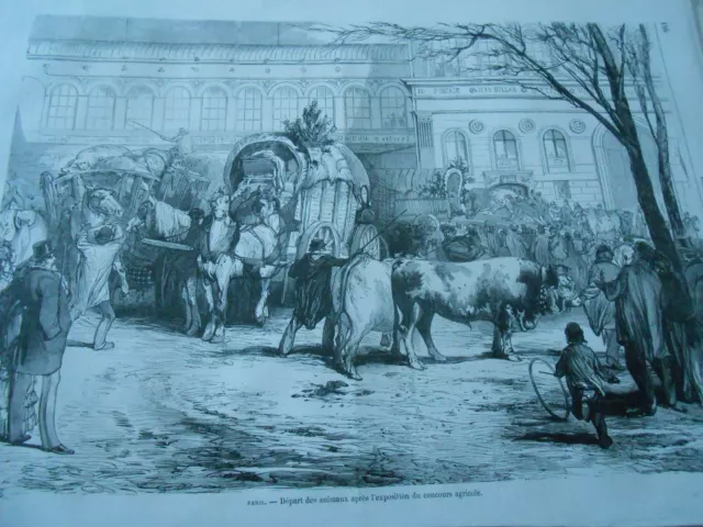 1870 engraving - Paris departure of animals after the agricultural competition exhibition