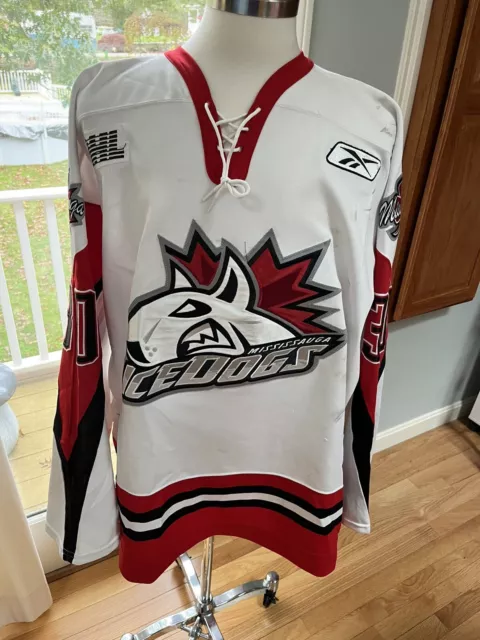 Lot Detail - Bretton Cameron - Greenville Swamp Rabbits - 2016 ECHL  Captains' Club Autographed Game-Worn Jersey
