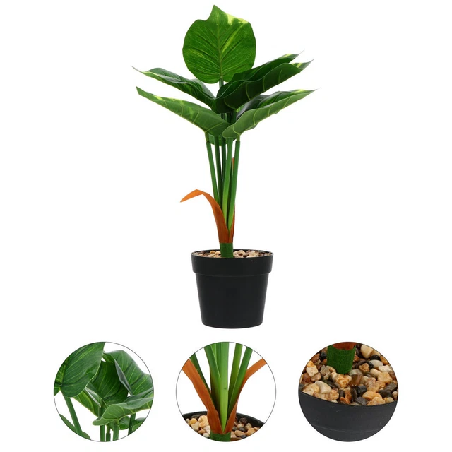 Pianta Finta Dracaena Reflexa | 41 Cm In Vaso Nero | Decorazione Interni Realistica | Zero Manutenzione