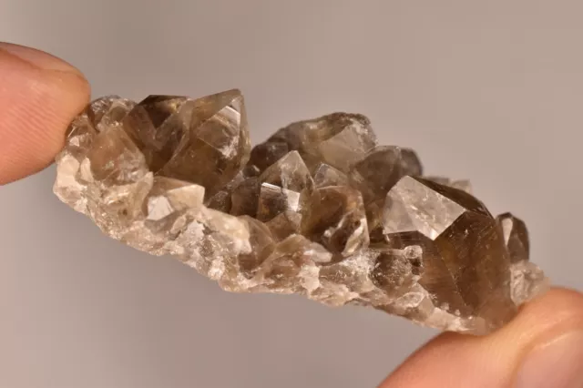 *AUSTRALIAN* SMOKEY QUARTZ Crystal 5.7cm 20.7g Cluster Natural Torrington NSW