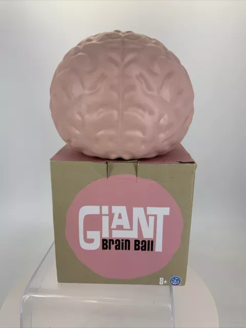 Giant Brain Ball 2019 Play Vision