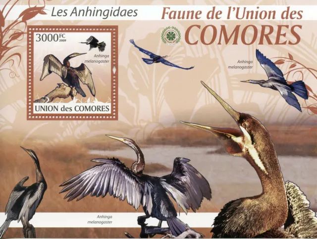 Comoros Birds on Stamps 2009 MNH Oriental Darter Cormorants Fauna 1v S/S