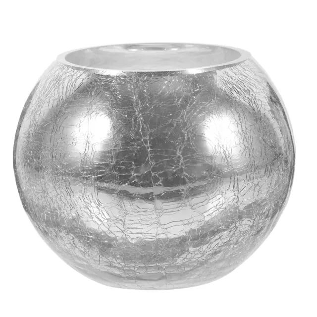 Round Glass Silver Vase for Home Decor and Planting