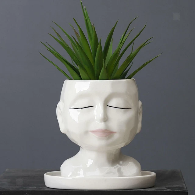 Plante Pot Succulent Conteneur Fleur  Pot Décor À La Maison Bureau Planteur