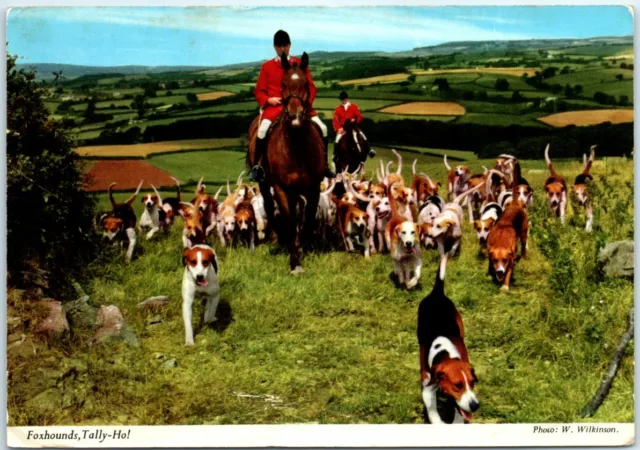 Postcard - Foxhounds, Tally-Ho!