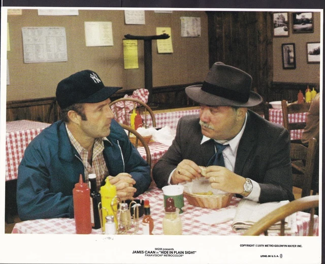 JAMES CAAN HIDE in Plain Sight 1980 original movie photo 30123 £3.43