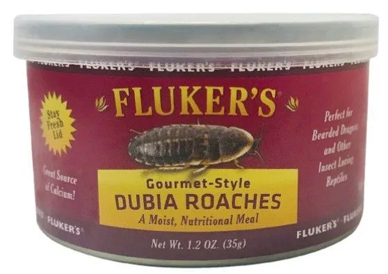 Cucarachas Dubia estilo gourmet Flukers