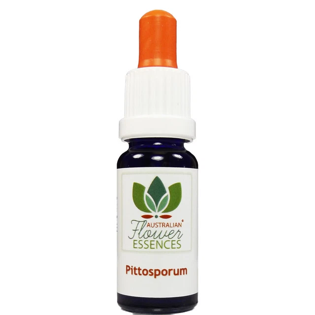 PITTOSPORUM essenze di fiori cespuglio australiani 15 ml essenze floreali australiane