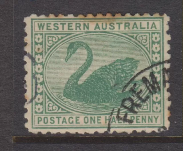 1885-1893 - WESTERN AUSTRALIA - ½d. GREEN SWAN -P14 - SG 94A - W677