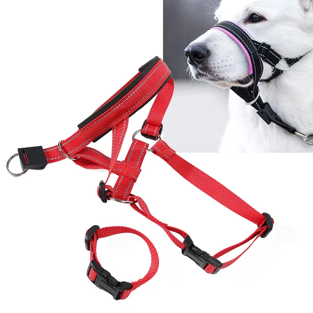 (M) Collare Testa Cane Muso Cane Protettore Bocca Muso Nylon Impedisci Mangiare Morbido