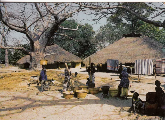 Carte postale postcard 10X15cm AFRIQUE AFRICAIN SENEGAL village de casamance