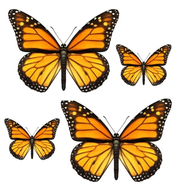 Autoaufkleber Schmetterling - Österreich