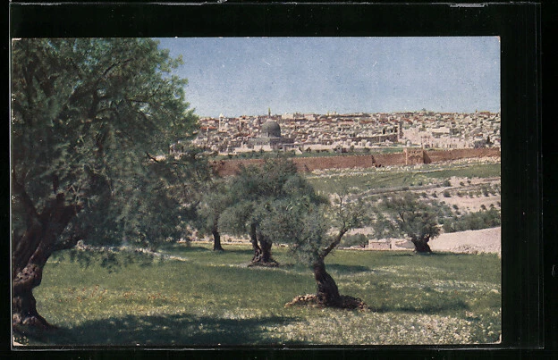 AK Jerusalem, Blick vom Oelberg auf die Stadt 1930