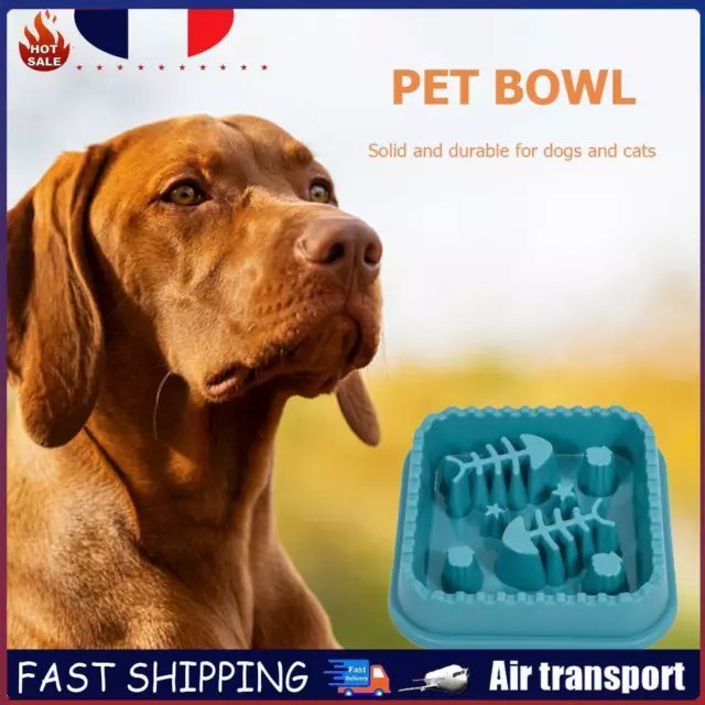 Dog Feeding Food Bowls Slow Eating Feeder Dish Pet Anti Gulping (Green) FR