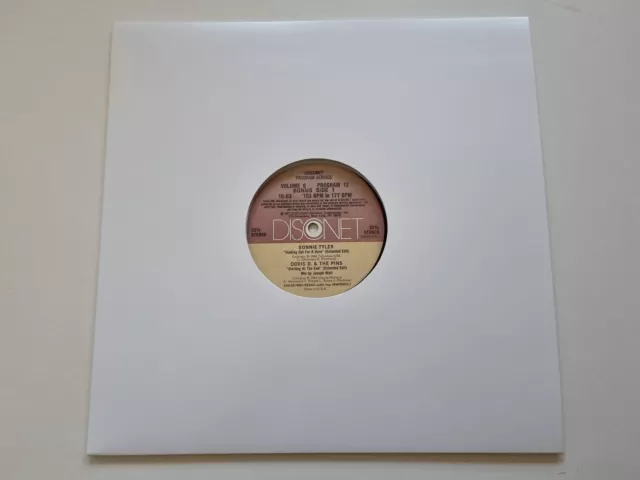 Bonnie Tyler - Holding out for a hero 12'' Vinyl Maxi US ONLY REMIX