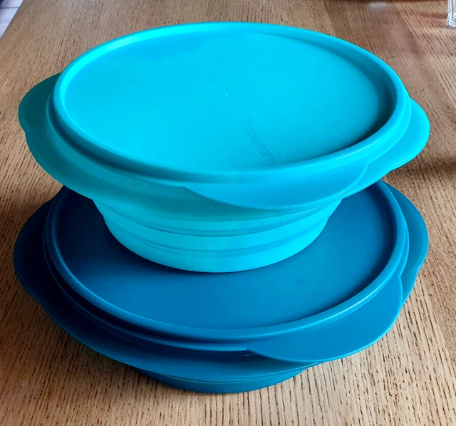 Lot tupperware lotus grand saladier et plus petit avec couvercle