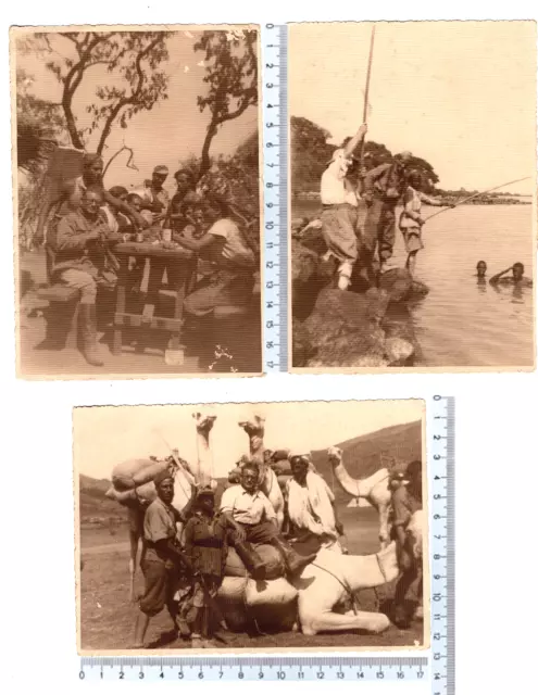 n° 3 Foto Regio Esercito - soldati con cammelli in AOI Africa - Colonia Italiana